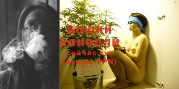 молекула духа Навашино