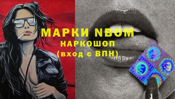 бошки Анжеро-Судженск