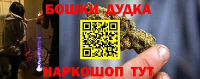 сатива Моздок