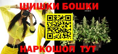 сатива Моздок