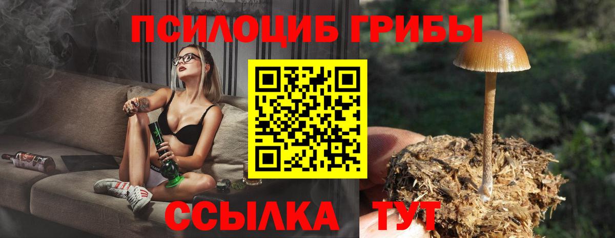 Псилоцибиновые грибы Cubensis Советск